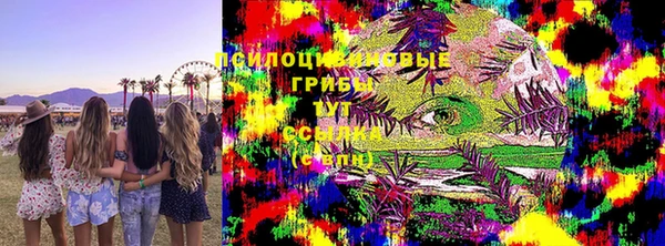 молекула духа Алзамай