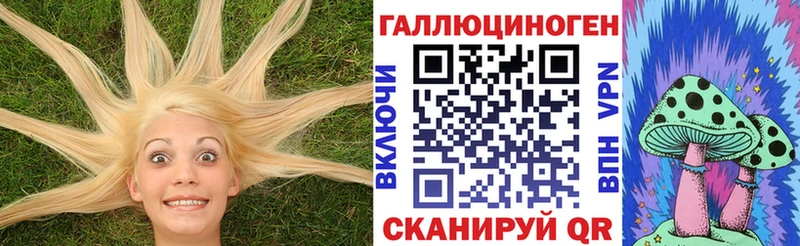 Галлюциногенные грибы мицелий Полярные Зори